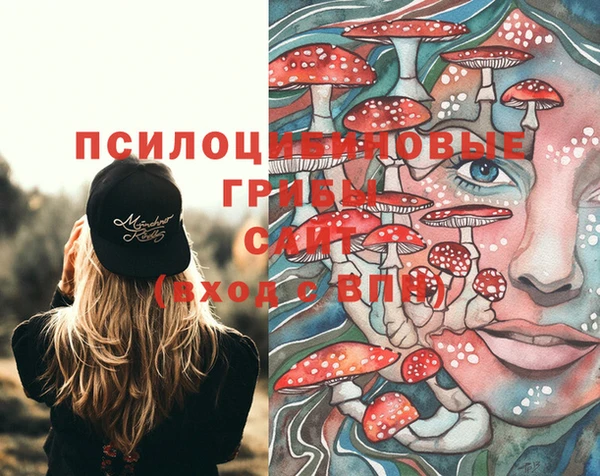 таблы Дмитровск