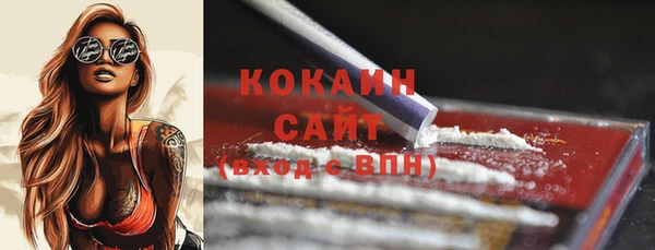 бошки Дмитров