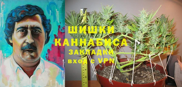 сатива Дмитриев