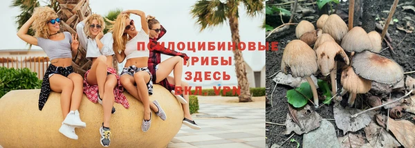 сатива Дмитриев
